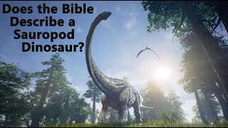 Does the Bible Job 40 Describe a Sauropod Dinosaur Behemoth [upl. by Ynattir19]