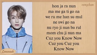 NCT U  Know Now Easy Lyrics [upl. by Annaiv]