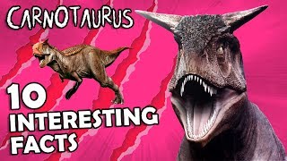 CARNOTAURUS 10 Interesting Facts [upl. by Dnomsaj833]