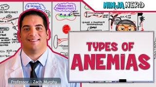 Hematology  Types of Anemias [upl. by Dionne]