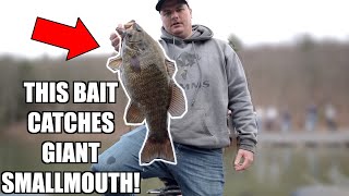 This Bait Catches Giant Early Spring Smallmouth Bass Raystown Lake Bass Fishing Tournament [upl. by Junie]