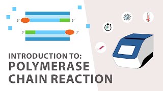 1 PCR Polymerase Chain Reaction Tutorial  An Introduction [upl. by Ecnarret]