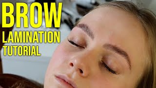 HD Brow Lamination Step By Step Tutorial Big Brows [upl. by Perseus]