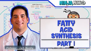 Metabolism  Fatty Acid Synthesis Part 1 [upl. by Barcellona]