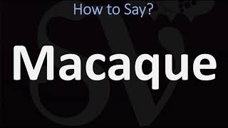 How to Pronounce Macaque CORRECTLY [upl. by Aicinad344]