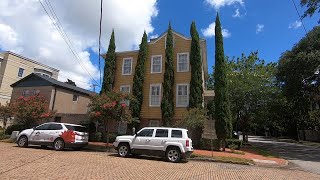 Italian Cypress Cupressus sempervirens [upl. by Noied]