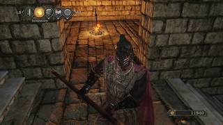 Dark Souls 2  Aldias Keep Ritual Site 2ND BONFIRE [upl. by Kciredes]