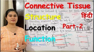 Tissues Part 2 Connective Muscular and Nervous Tissues [upl. by Traggat]