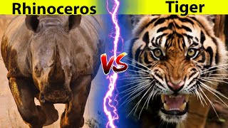 Siberian Tiger vs Rhinoceros  Who is Stronger [upl. by Yorled817]