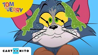 Tom und Jerry  Der Splitter  Cartoonito [upl. by Eskill962]