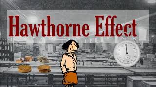 The Hawthorne Effect  Or Why Everything Works [upl. by Novelc479]