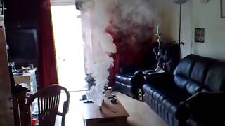 Bug Bomb in Living room [upl. by Koloski]