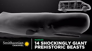 14 Shockingly Giant Prehistoric Beasts 🐋 Smithsonian Channel [upl. by Candi]