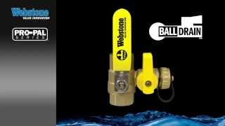 ProPal Series  Ball Drain [upl. by Audrie]