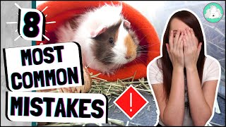 8 Most Common Guinea Pig Care Mistakes Owners Make and How To Fix Them [upl. by Eimyaj617]