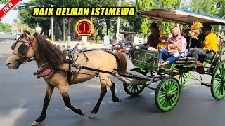 NAIK DELMAN ISTIMEWA  Naik KUDA dan DELMAN Cikunir BKT Jogja Tuban Paling Seru [upl. by Lesna]