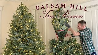 Balsam Hill Tree Review  Fraser Fir  Realistic Artificial Christmas Trees [upl. by Natrav]