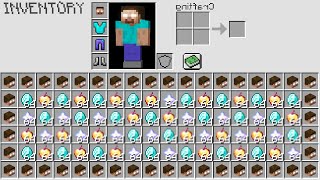 Minecraft UHC but you can craft HEROBRINEs armor [upl. by Norris842]