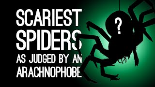 Worst Spiders In Games Ranked By An Arachnophobe  Commenter Edition [upl. by Taggart]