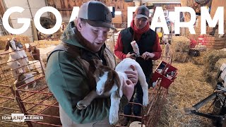 LEARNING TO GOAT FARM [upl. by Lodge416]