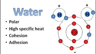 Water Chemistry [upl. by Asertal]