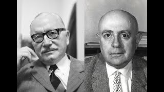 Adorno  Gehlen Ist die Soziologie eine Wissenschaft vom Menschen [upl. by Ennayehc257]