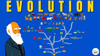 Darwins theory of Evolution A REALLY SIMPLE and Brief Explanation [upl. by Malarkey]