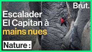 Le grimpeur Alex Honnold escalade El Capitan à mains nues [upl. by Leatrice]