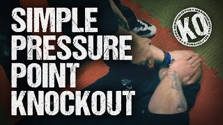 Simple Pressure Point Knockout [upl. by Alhahs]