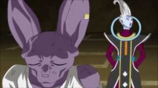 whis wakes beerus english dub [upl. by Orms]