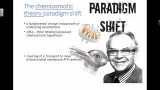 Chemiosmotic Theory Paradigm Shift 2016 IB Biology [upl. by Aihseuqal423]