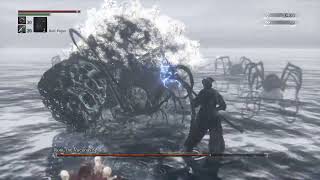 Bloodborne  Rom the Vacuous Spider [upl. by Erhart]