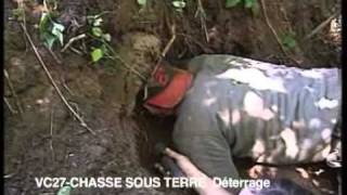 Techniques de chasse sous terre [upl. by Yelknirb]