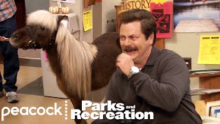 Ron Loves Lil Sebastian  Parks and Recreation [upl. by Ymled119]