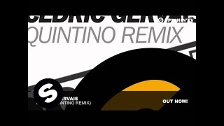 Cedric Gervais  Molly Quintino Remix [upl. by Lahsram834]