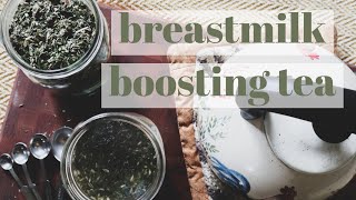 MOTHERS MILK TEA RECIPE  Naturally Boosting Your Breastmilk Supply [upl. by Oiligriv]