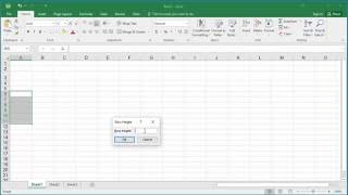 How to Change Row Height in Excel 2016 [upl. by Ayirp903]