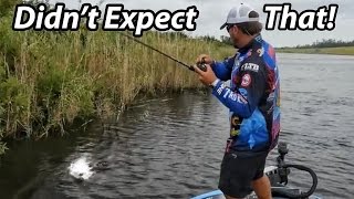 How to Fish a Spinnerbait  Scott Martin  Everything you need to know [upl. by Domenic]