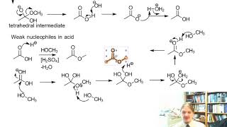 Nucleophilic Acyl Substitution Mechanisms [upl. by Rolecnahc]