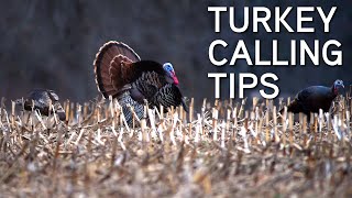 Turkey Calling Tips For Beginners  Basic Turkey Calls [upl. by Graner]