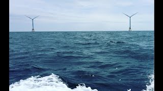 US builds first offshore wind farm [upl. by Royd109]