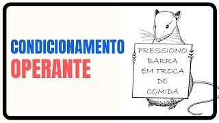 O Condicionamento Operante  Skinner  Psicologia Comportamental [upl. by Adniral]