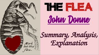 The Flea by John Donne  Summary Analysis Explanation [upl. by Tilly]