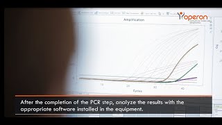 PCR Real Time qPCR procedure — OPERON [upl. by Dlonra694]