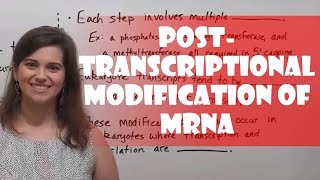 PostTranscriptional Modification of PremRNA [upl. by Silsbye]