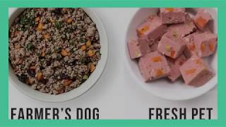 Freshpet Dog Food Review Are There Better Options [upl. by Sirrap]