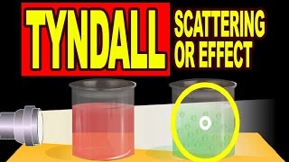 Tyndall Scattering or Tyndall Effect  Video Explanation [upl. by Kabob]