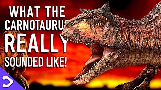 What Did The Carnotaurus REALLY Sound Like [upl. by Oiretule]