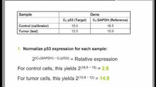 Real Time QPCR Data Analysis Tutorial part 2 [upl. by Gasser]