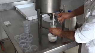 YOGURT MAKER FOR MINI DAIRY HOW TO MAKE YOGURT [upl. by Hairym]